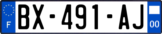 BX-491-AJ