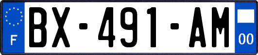 BX-491-AM