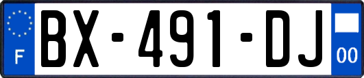 BX-491-DJ