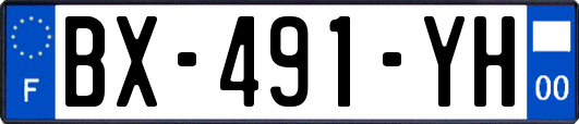 BX-491-YH