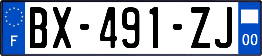 BX-491-ZJ