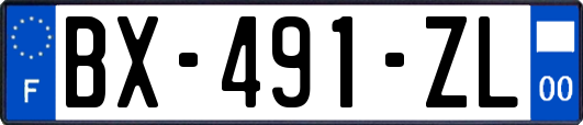 BX-491-ZL