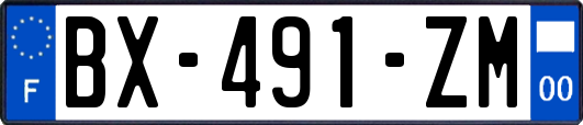 BX-491-ZM