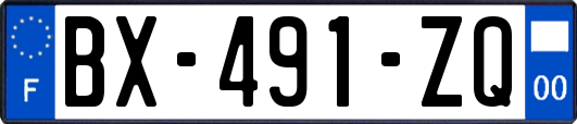 BX-491-ZQ