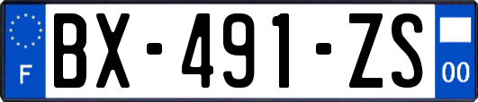 BX-491-ZS