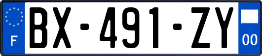 BX-491-ZY