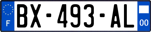 BX-493-AL