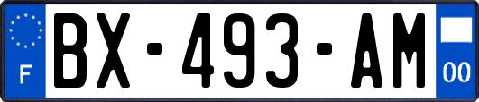 BX-493-AM