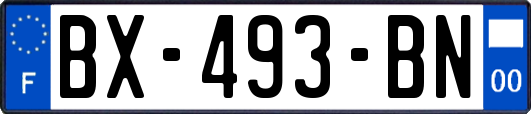 BX-493-BN