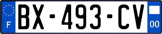 BX-493-CV