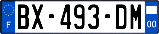 BX-493-DM