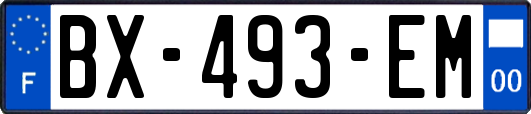 BX-493-EM