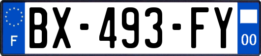 BX-493-FY