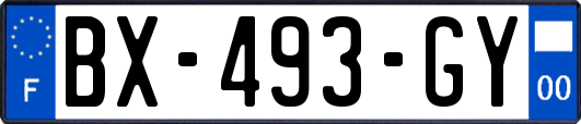 BX-493-GY