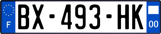 BX-493-HK