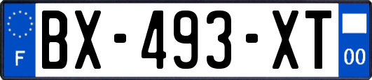 BX-493-XT