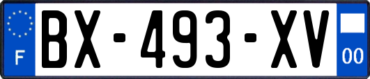 BX-493-XV