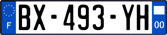 BX-493-YH