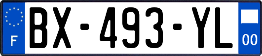 BX-493-YL