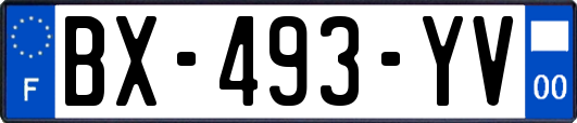 BX-493-YV