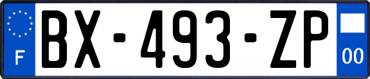 BX-493-ZP