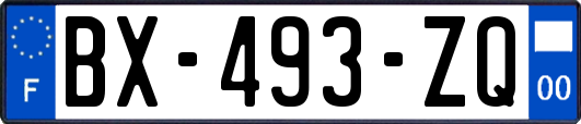 BX-493-ZQ