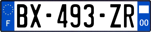BX-493-ZR