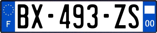 BX-493-ZS
