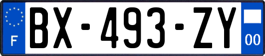 BX-493-ZY