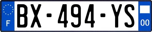 BX-494-YS