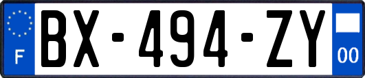BX-494-ZY