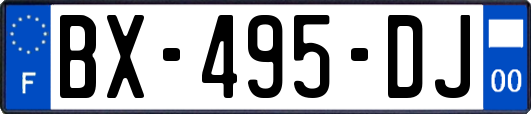 BX-495-DJ