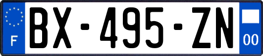 BX-495-ZN