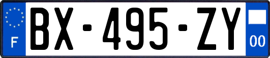 BX-495-ZY