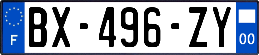 BX-496-ZY