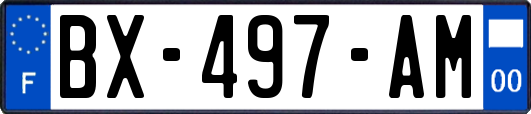 BX-497-AM