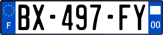 BX-497-FY