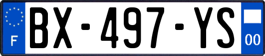 BX-497-YS