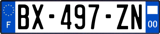 BX-497-ZN