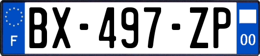 BX-497-ZP