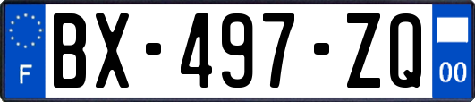 BX-497-ZQ