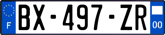 BX-497-ZR