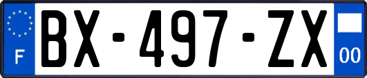 BX-497-ZX