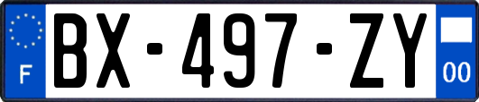 BX-497-ZY