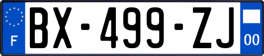 BX-499-ZJ