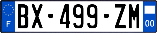 BX-499-ZM