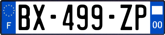 BX-499-ZP