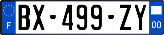 BX-499-ZY