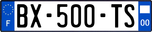 BX-500-TS