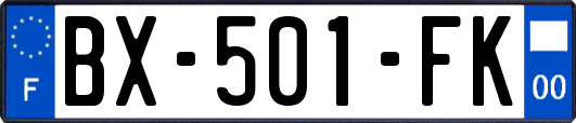 BX-501-FK